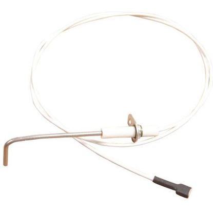 Picture of Flame Sensor for Hobart Part# 844367-66