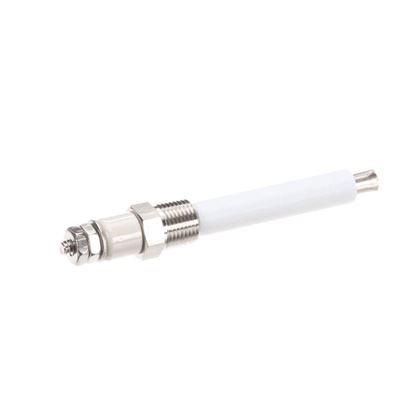 Picture of Water Level Probe for Hobart Part# 855856-1