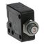 Picture of Reset Switch for Globe Part# M038