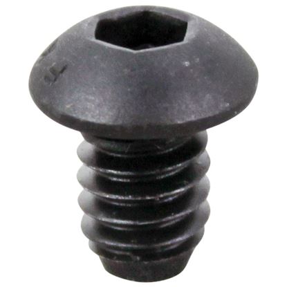 Picture of Retaining Screw - Roller for Globe Part# 1107