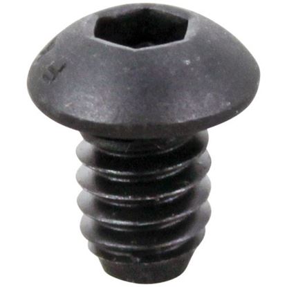 Picture of Retaining Screw - Roller for Globe Part# 1107