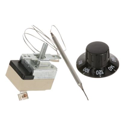 Picture of Thermostat for True Part# 822212