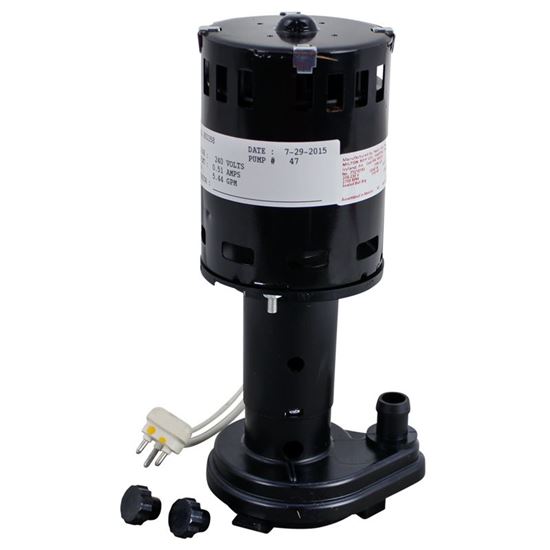 Picture of Water Pump - 240V For Ice-O-Matic Part# 9161079-02