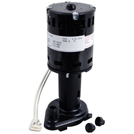 Picture of Water Pump - 240V For Ice-O-Matic Part# 9161079-06