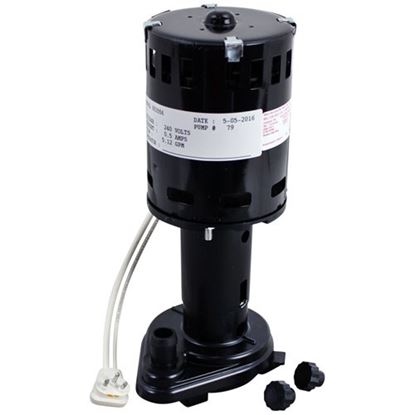 Picture of Water Pump - 240V For Ice-O-Matic Part# 916107906