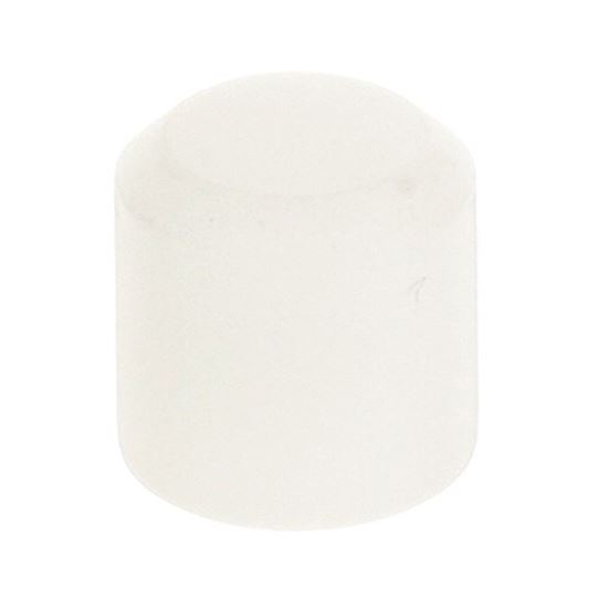 Picture of Cap - Cutting Board Pin For Delfield Part# 170-1000