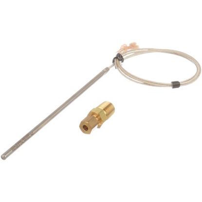Picture of Rtd 1K W/Fitting Prob For Blodgett Part# 39800