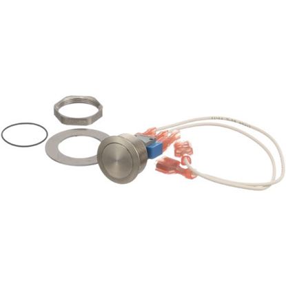 Picture of Momentary Switch For Roundup Part# 7001001