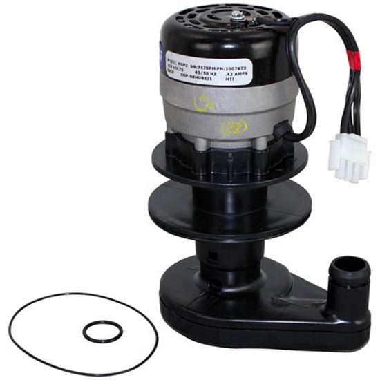 Picture of Water Pump - 115V For Manitowoc Part# 20-0767-9