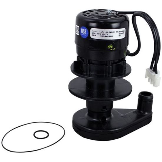Picture of Water Pump - 230V For Manitowoc Part# 20-0894-9