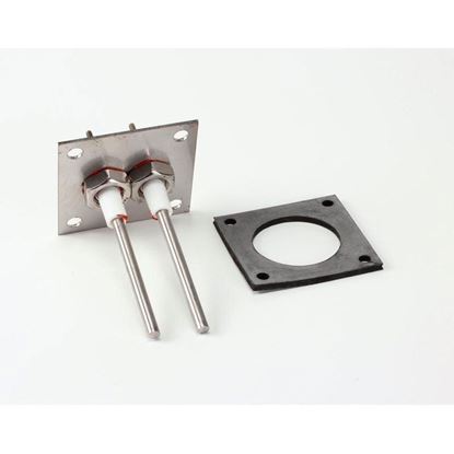 Picture of Level Probe Assy Kit For Blodgett Part# R6965