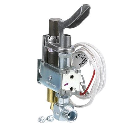 Picture of Pilot Assy .024 Orifice For Frymaster Part# 8102071