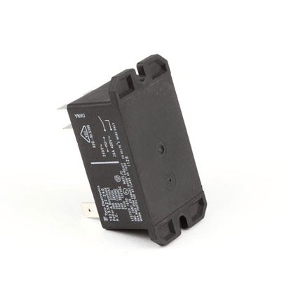 Picture of Platen 240V Relay For Nieco Part# 4041-2