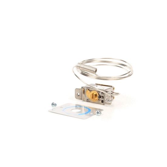 Picture of Thermostat For Perlick Part# 65290
