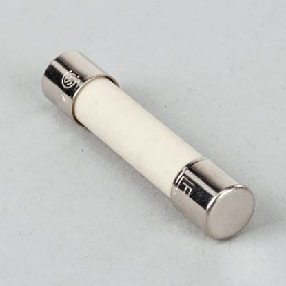 Picture of Ceram .25X1.25 Fuse For Magikitch'N Part# 60132702