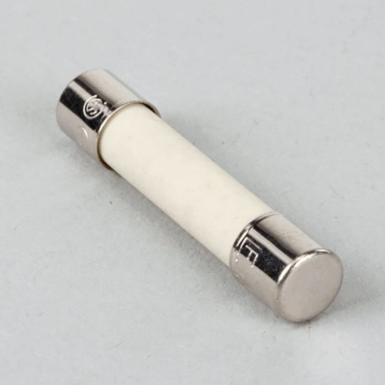 Picture of Ceram .25X1.25 Fuse For Magikitch'N Part# 60132702
