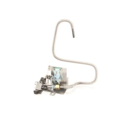 Picture of Plt Ei Ssh55T Nat Pg For Magikitch'N Part# B8039523-C