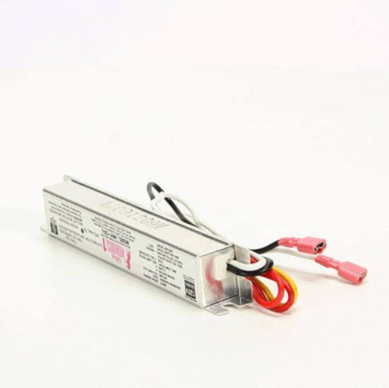 Picture of Ballast Assy Kit For Prince Castle Part# 528-359S