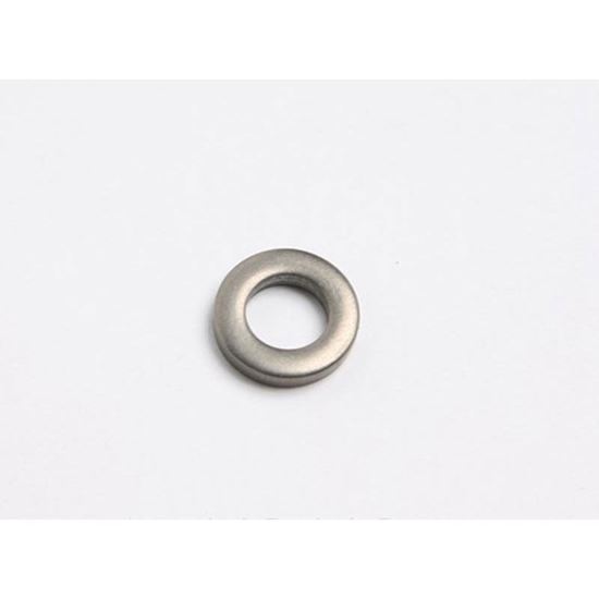 Picture of Washer Fl .50.25.095 Ss For Silver King Part# 99821P