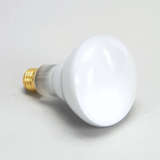 Picture of Lamp 65-75W Rflr Flood For Star Mfg Part# 2S-Y4584