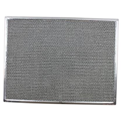 Picture of Air Filter For Manitowoc Part# 30-0593-9