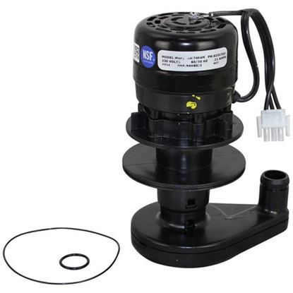 Picture of Water Pump - 230V-50/60H For Manitowoc Part# 8252709