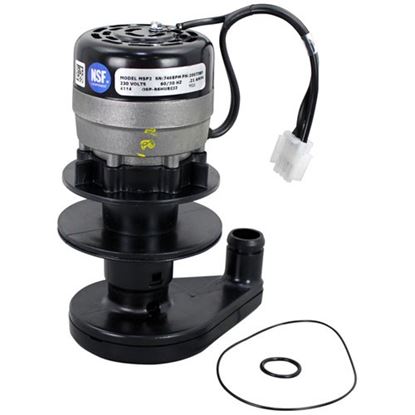 Picture of Water Pump - 230V/60Hz For Manitowoc Part# 2007399