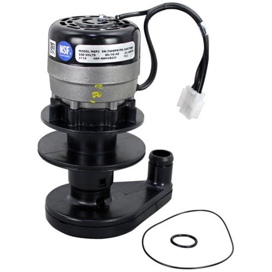 Picture of Water Pump - 230V/60Hz For Manitowoc Part# 2007399