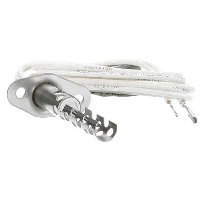 Picture of Electrode For Cleveland Part# C4018002