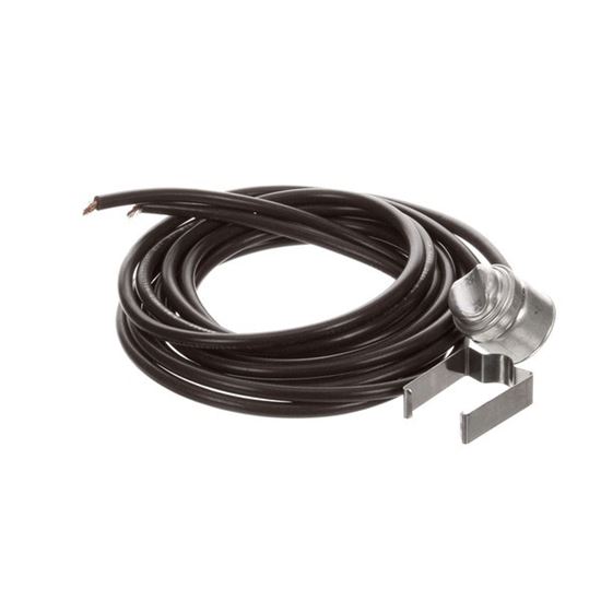 Picture of Safety Control For Masterbilt Part# 1901307