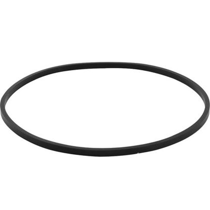 Picture of O-Ring (6" Od X 5-3/4" Id) for Selecto Scientific Part# SSF101-151