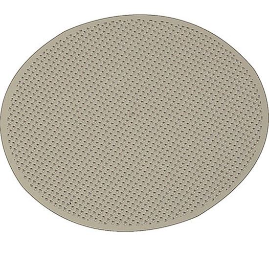 Picture of Screen,Piston for Franke Commercial Systems Part# 1T310233