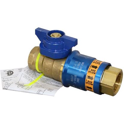 Picture of Disconnect/Valve (1",Sfty Qd) for Dormont Part# DORCF100