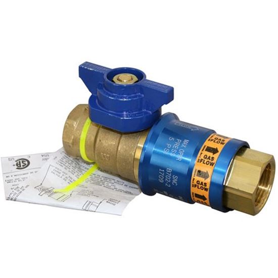 Picture of Disconnect/Valve (1",Sfty Qd) for Dormont Part# DORCF100