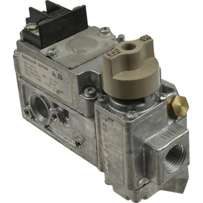 Picture of Valve,Gas (Before D-45887) for Lang Part# LAN2V-80505-04