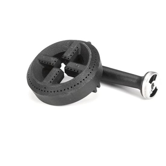 Picture of Burner,Assembly ( Front) for Wells Part# WS507164