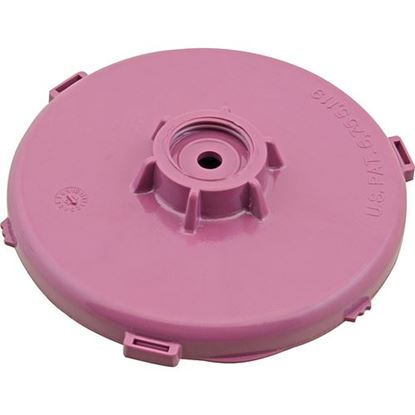 Picture of Sprayhead (Purple,5/32" Inlet) for Wilbur Curtis Part# CURWC29025