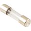 Picture of Fuse(5A) for Blodgett Part# 61614