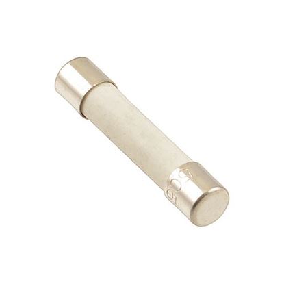 Picture of Fuse(16 Amp) for Duke Part# 166030