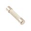 Picture of Fuse(16 Amp) for Duke Part# 166030