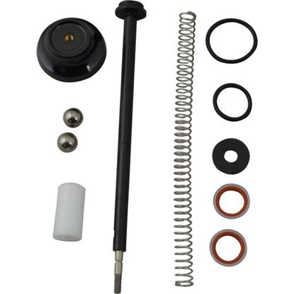 Picture of Pump Plunger Parts Kit for Server Part# SER83014