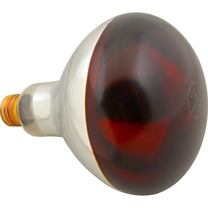 Picture of Bulb,Infrared (Red,Coated) for Hatco Part# 2-30-068