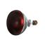 Picture of Bulb,Infrared (Red,Coated) for Hatco Part# 2-30-068
