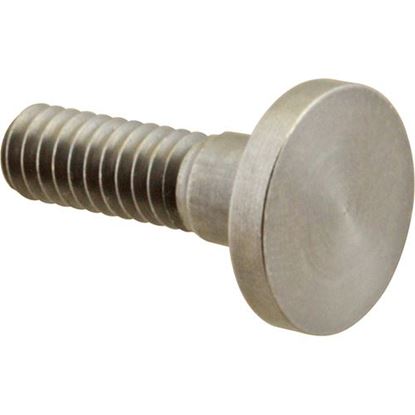 Picture of Screw,Shelf(Pivot, 1/4-20 Thd) for Silver King Part# 23503