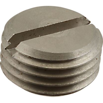 Plug,Rinse Arm End for Hobart Part# 00-893093-00002