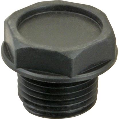 Picture of Plug (1/2"Npt, Plastic) for Champion Part# CHA108418
