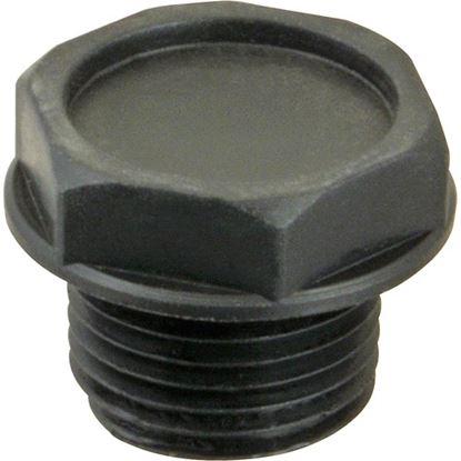 Picture of Plug (1/2"Npt, Plastic) for Champion Part# 108418