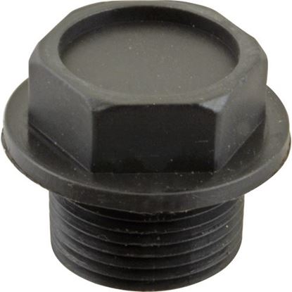 Picture of Plug,Plastic (3/4"Npt) for Champion Part# CHA113943