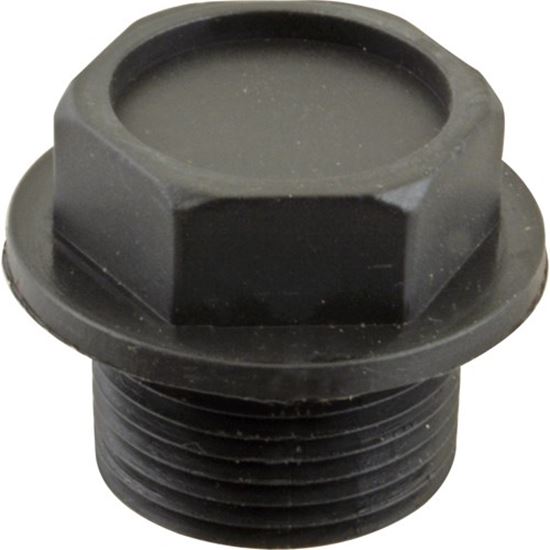 Picture of Plug,Plastic (3/4"Npt) for Champion Part# 113943