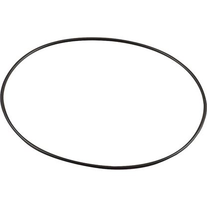 Picture of O-Ring,Water Pump for Manitowoc Part# MAN5004659